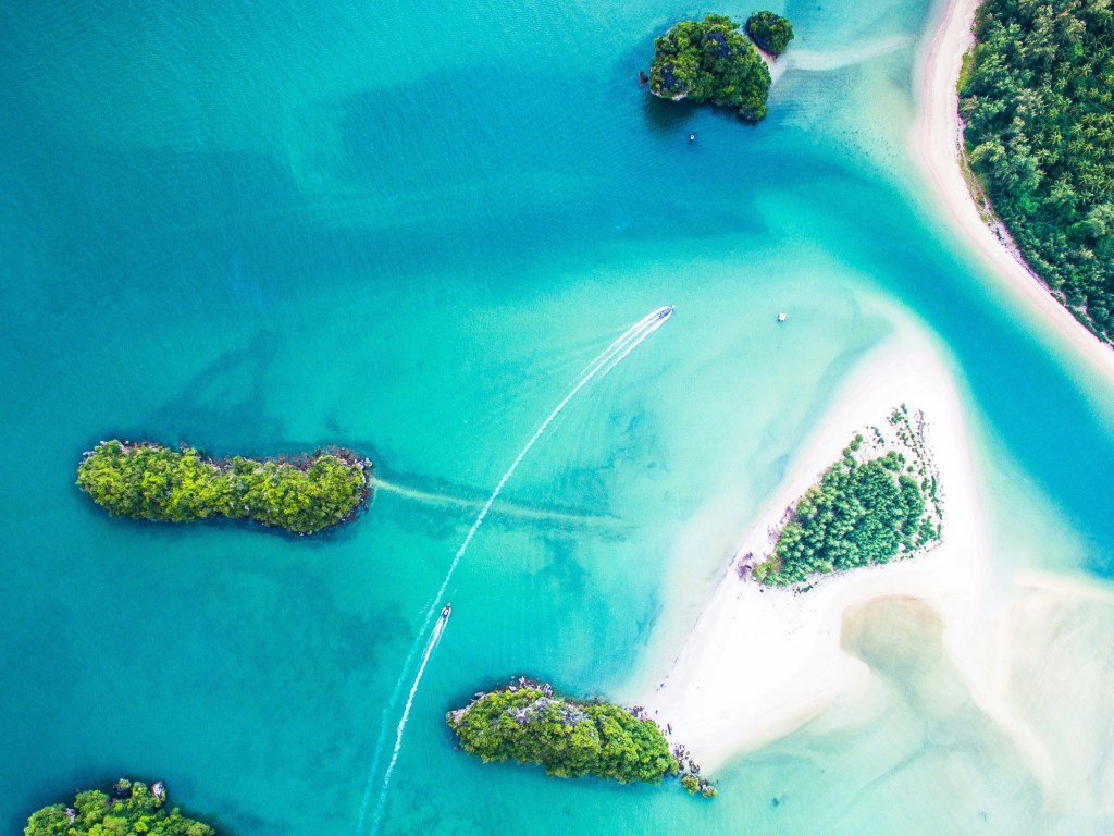 Seaborn 101: มาดูวิธีสร้างกราฟ 5 แบบ + 3 วิธีตกแต่งกราฟอย่างง่ายใน Seaborn&nbsp;กัน