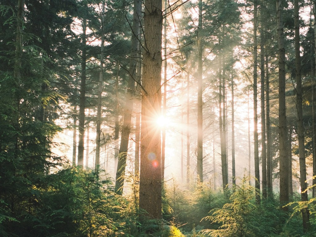 Saving Yourself & Philosophy: สรุป 2 บทเรียนสุดท้ายเกี่ยวกับการใช้ชีวิตเพื่อตัวเองและปรัชญาชีวิต จากหนังสือ The Almanack of Naval Ravikant โดย Eric&nbsp;Jorgenson