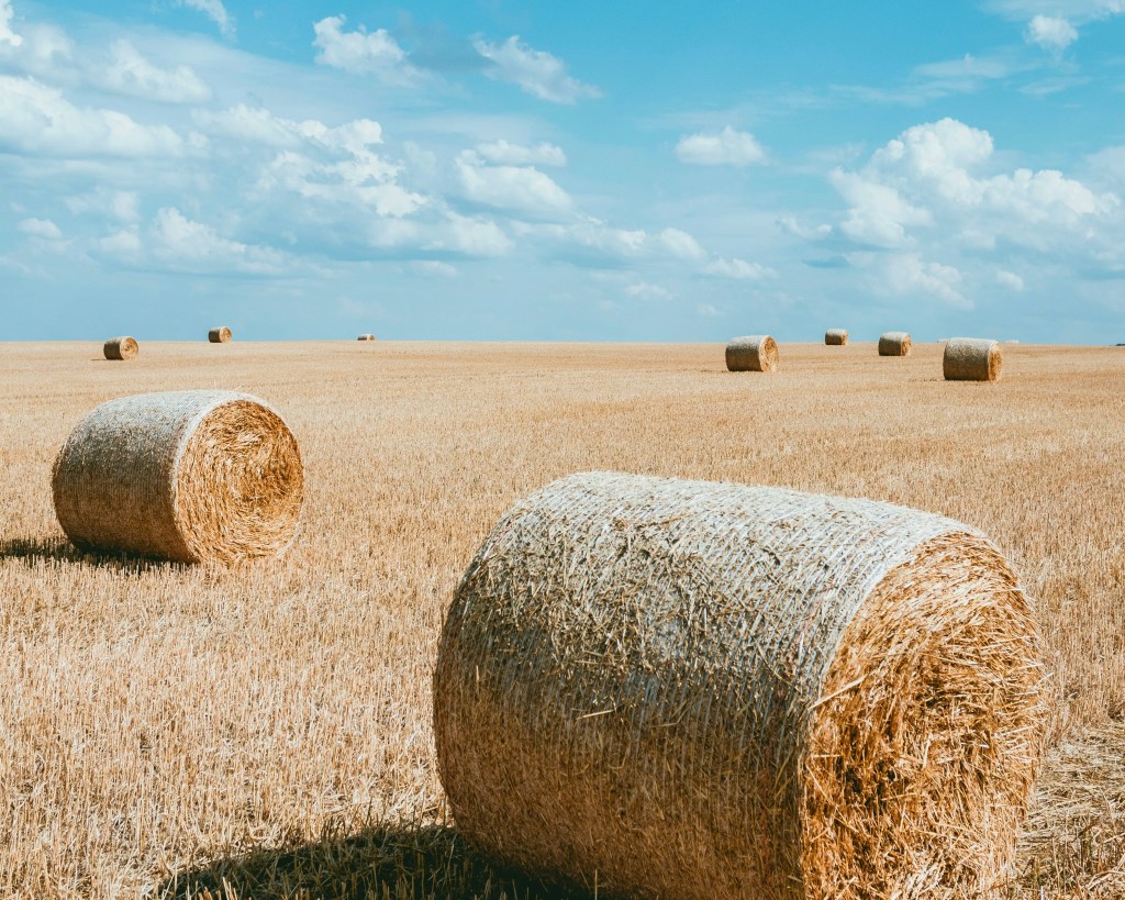 Basic Haystack: วิธีใช้ Haystack 2.0 เพื่อทำงานกับ LLM อย่างง่าย ใน 5 ขั้นตอน—ตัวอย่างการสร้าง AI ตอบคำถามเรื่อง Mental Model
